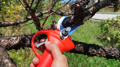 Common failure causes and maintenance methods of electric pruning shears