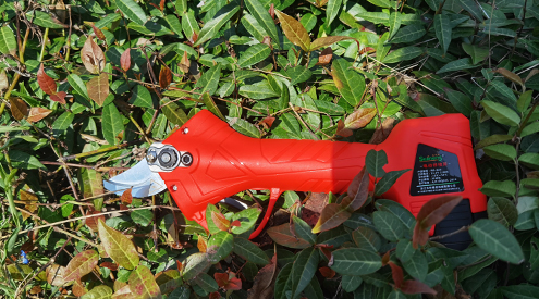 Maintenance and maintenance of electric pruning shears