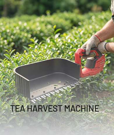 Tea Harvest Machine